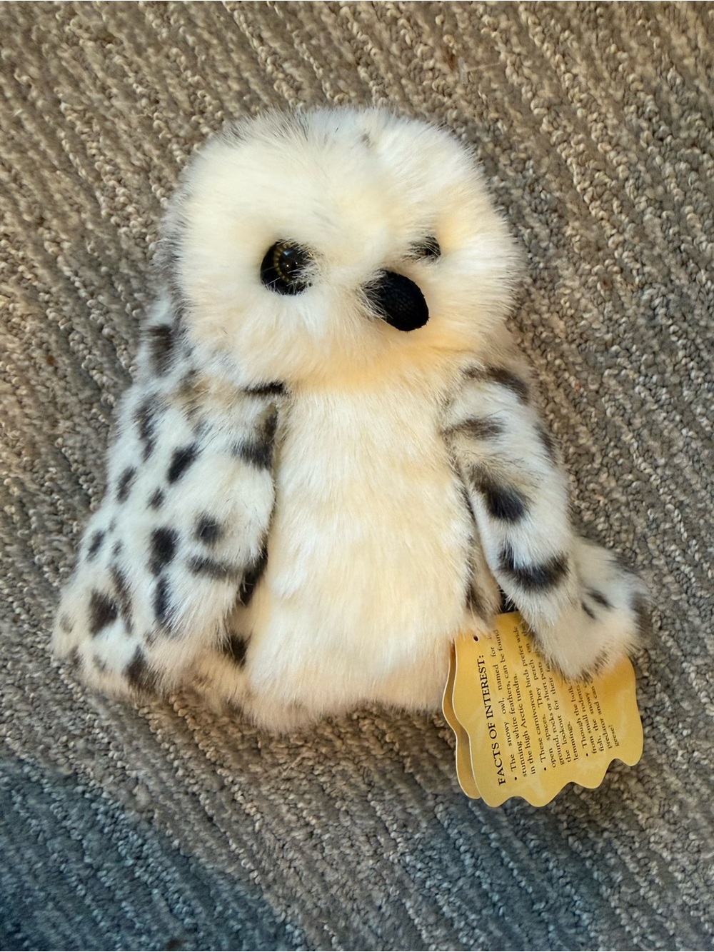Folkmanis Little Snowy Owl Hand Puppet Plush White Black Spotted w/ Hang Tag